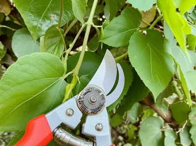 Illustration clipping - Image 1