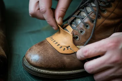 Illustration fox - Image 1