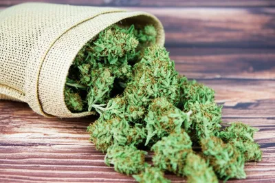 Illustration draws - Image 1