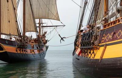 Illustration grapnel - Image 1