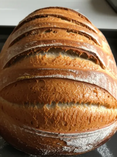 Illustration crust - Image 2