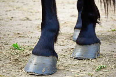 Illustration founder - Image 1