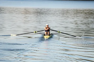 Illustration sweep - Image 1