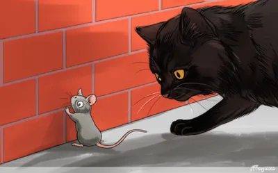 Illustration cornering