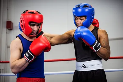 Illustration sparring - Image 1