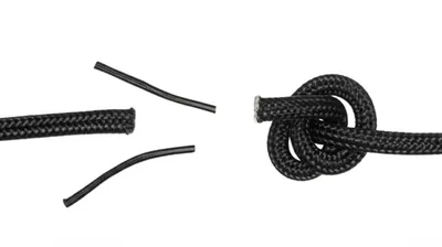 Illustration loosen - Image 1