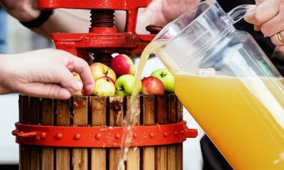 Illustration pressing - Image 1