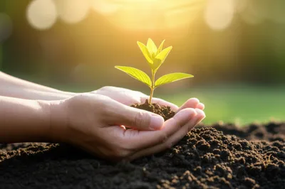 Illustration good - Image 1