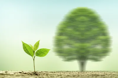 Illustration redoubled - Image 1