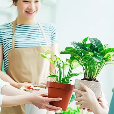 Illustration trades - Image 1