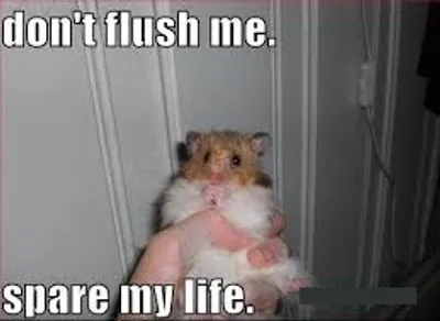 Illustration spare - Image 5