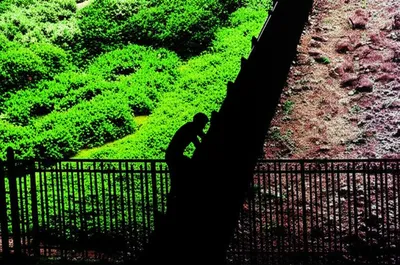 Illustration trespasses