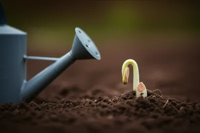 Illustration teats - Image 1