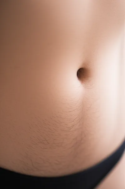 Illustration bush - Image 1