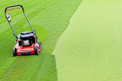 Illustration mowing - Image 1