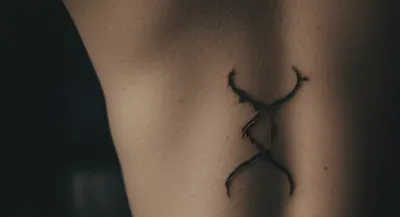 Illustration brands - Image 1