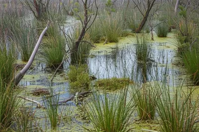 Illustration carrs - Image 1