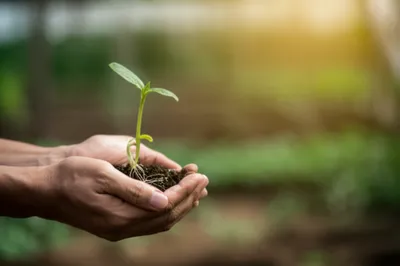 Illustration fostering - Image 1