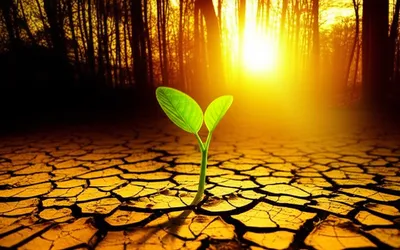 Illustration primal - Image 1