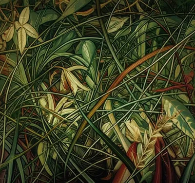 Illustration jungle - Image 1