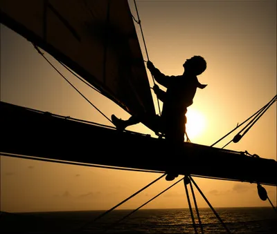 Illustration furl - Image 1