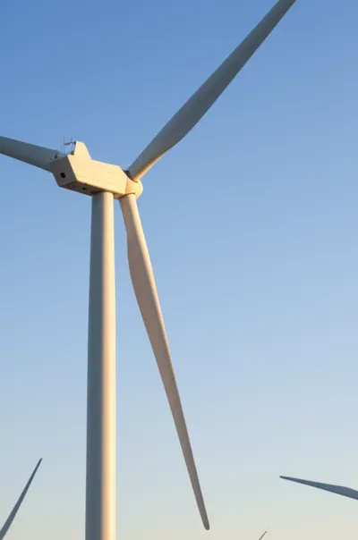 Illustration blades - Image 1