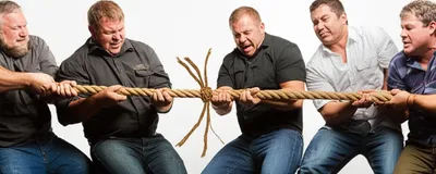 Illustration swig - Image 1