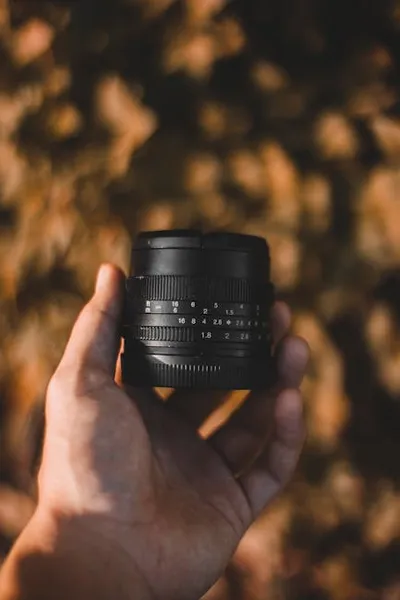 Illustration specifications - Image 2