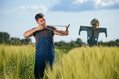 Illustration minted - Image 1