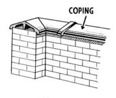 Illustration cope - Image 2