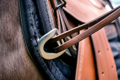 Illustration cinch - Image 1