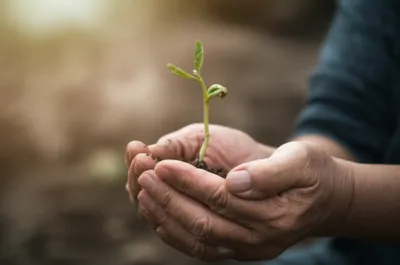 Illustration sensitizes - Image 1