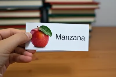 Illustration flashcards