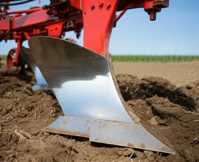 Illustration ploughshare