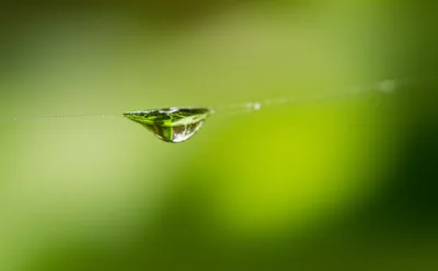 Illustration span - Image 1