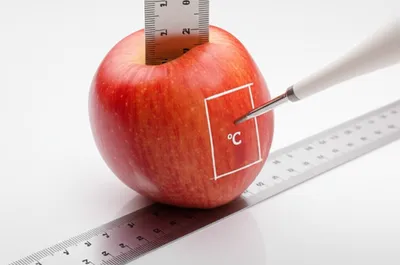 Illustration observable