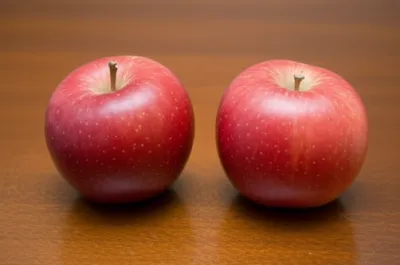 Illustration duplicates