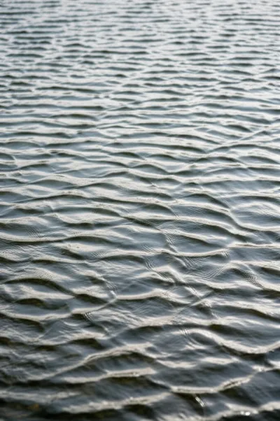 Illustration riffles - Image 1