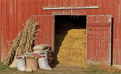 Illustration mows - Image 1