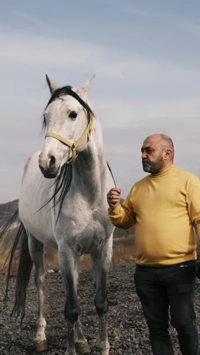 Illustration steeds - Image 2