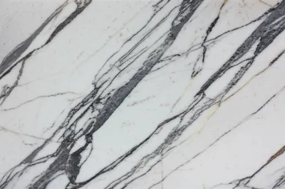 Illustration veins - Image 1