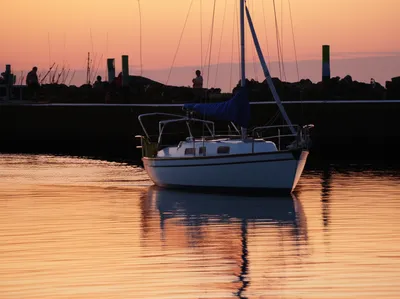 Illustration hove - Image 1