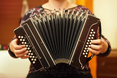 Illustration concertina