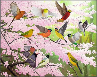 Illustration alight - Image 1