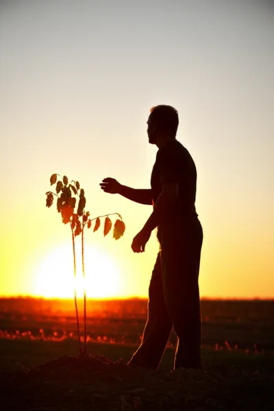 Illustration manhood - Image 1