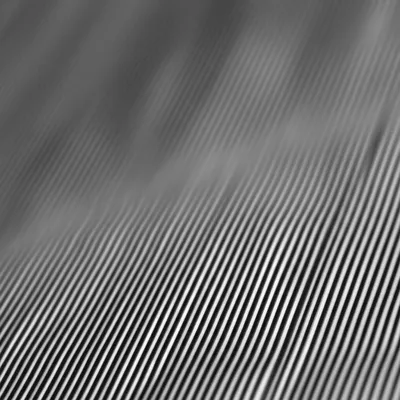 Illustration grain - Image 1