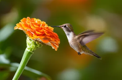 Illustration charm - Image 1