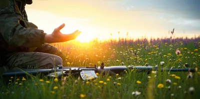 Illustration disarm - Image 1