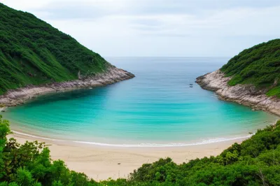 Illustration sinus - Image 1