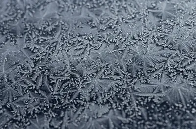 Illustration frost - Image 1